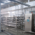 Ligne de production laitière de yogourt pasteurisé